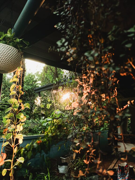 Tips for Creating a Relaxing Garden Space at Home