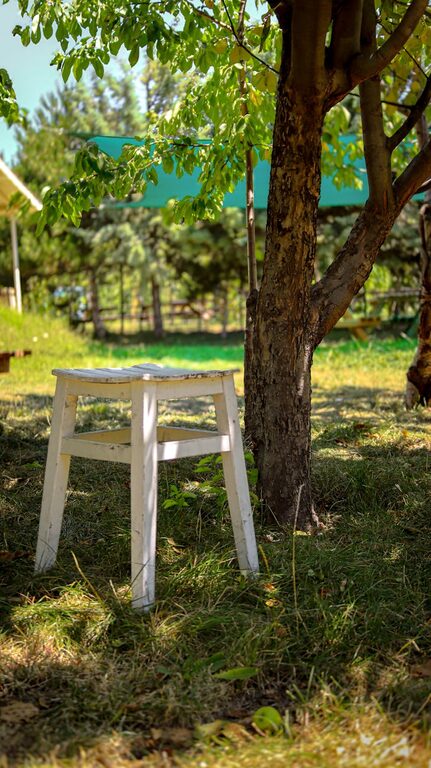 Tips for Creating a Relaxing Garden Space at Home